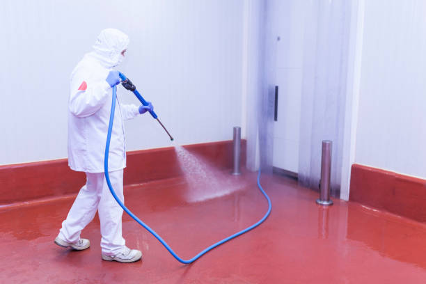 Best Pre-Holiday Cleaning  in West Yellowstone, MT